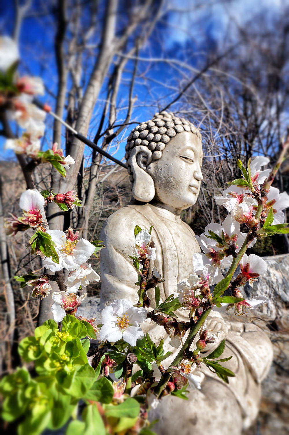 Hidden Paradise in Spain